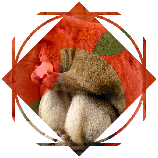 Applebite Media Logo