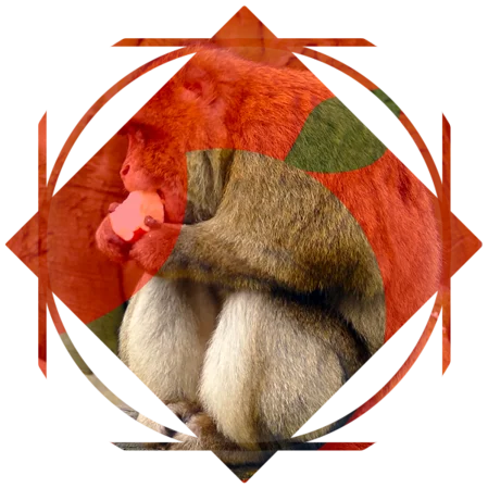 Applebite Media Creative Services